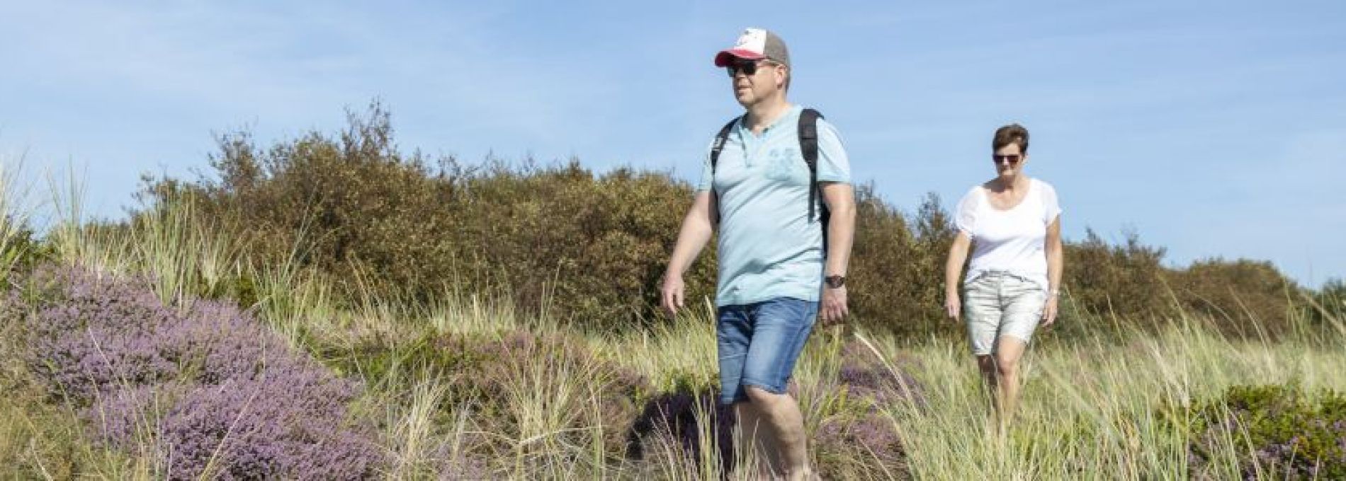 Häufig gestelte Fragen über Fährverkehr auf Ameland - VVV Ameland.