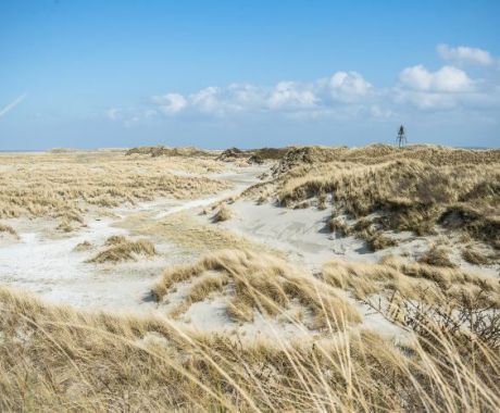 Natur - VVV Ameland