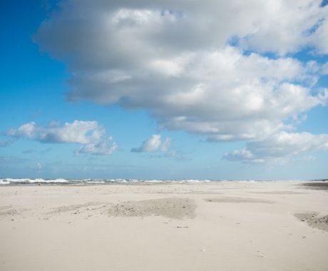 Natur - VVV Ameland