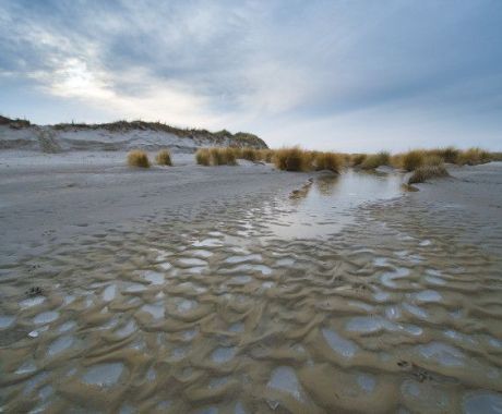 Natur - VVV Ameland