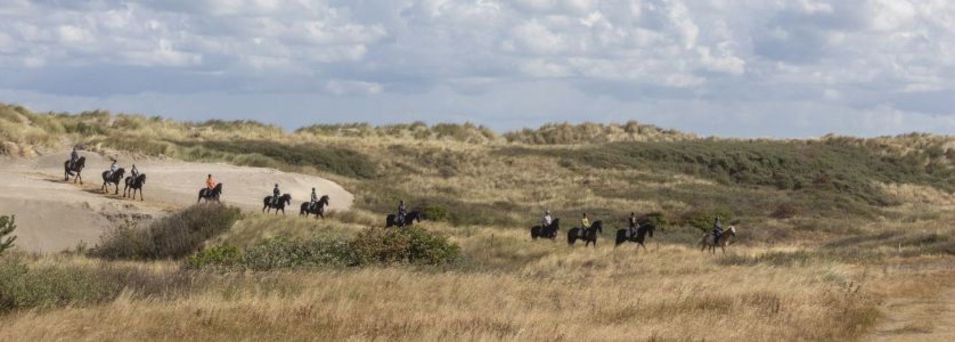 Häufig gestelte Fragen über Events und Aktivitäten auf Ameland - VVV Ameland