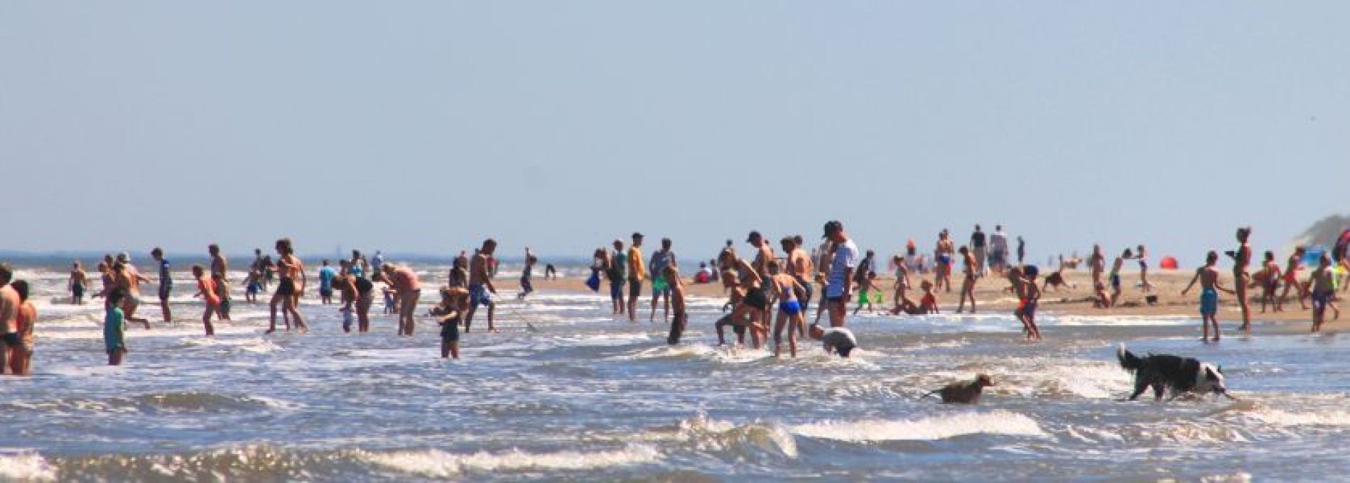 Häufig gestelte Fragen über den Strand von Ameland - VVV Ameland.