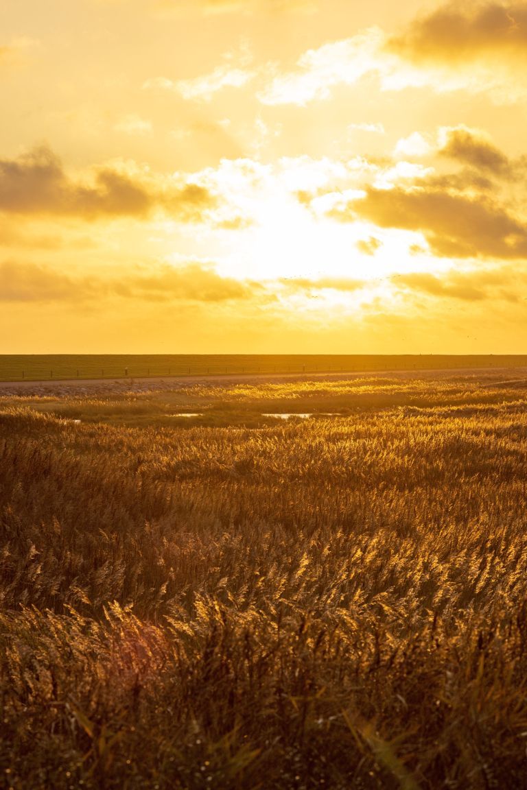 Ontdek de mooiste zonsondergangen op Ameland - VVV Ameland