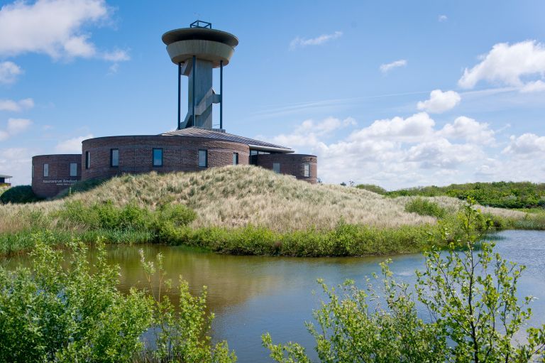 15x Unternehmungen mit Kindern auf Ameland - von Strand bis Schatzsuche - VVV Ameland