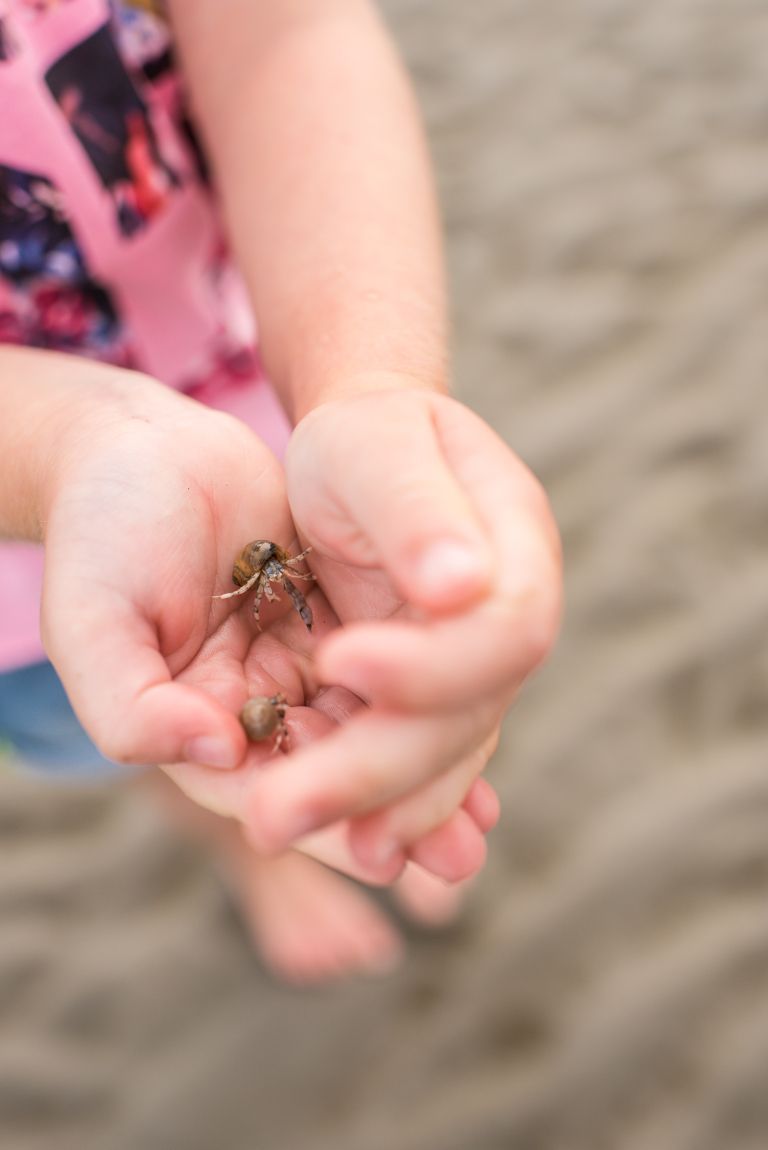 15x Unternehmungen mit Kindern auf Ameland - von Strand bis Schatzsuche - VVV Ameland