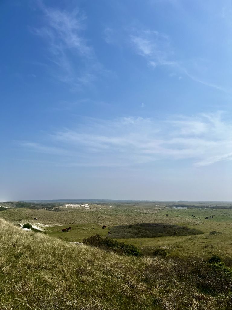 Ballumer Blinkert - VVV Ameland