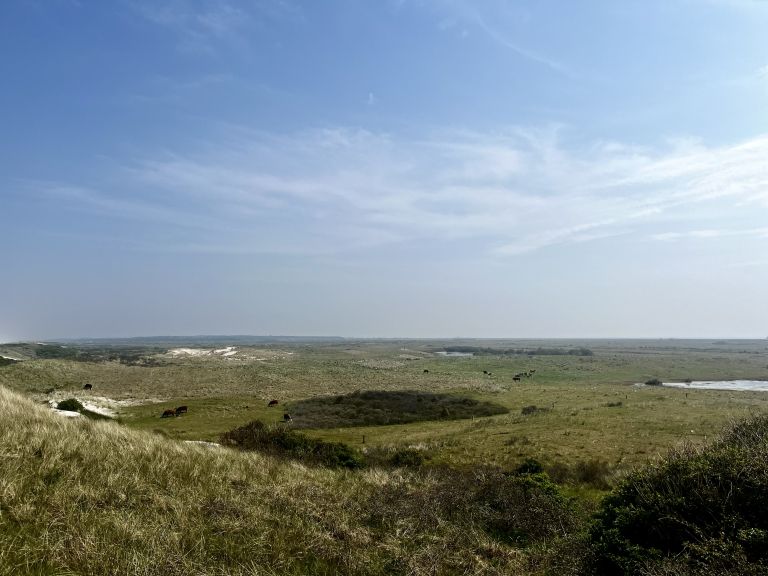 Ballumer Blinkert - VVV Ameland