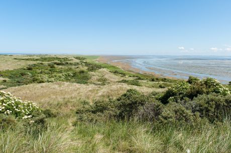 Rixt van het Oerd - VVV Ameland