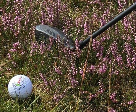 Golf spielen und Golfbahn Ameland - VVV Ameland