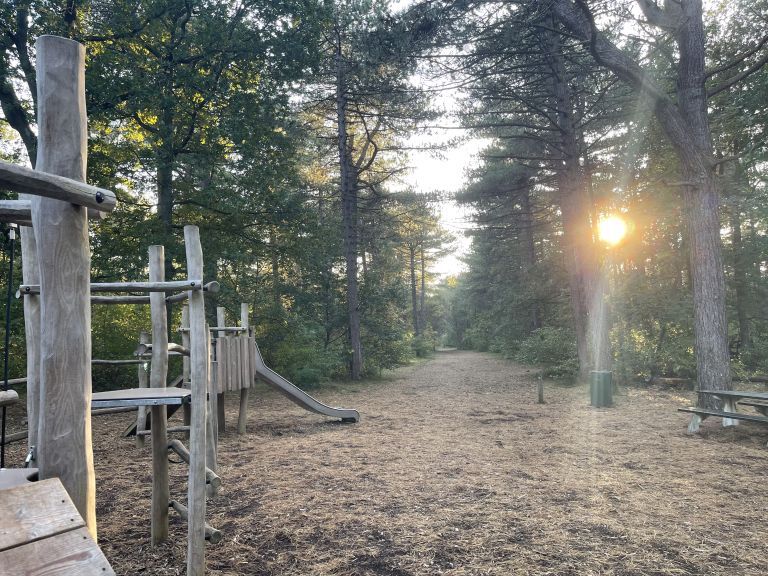 Spielen im Hollumer Wald