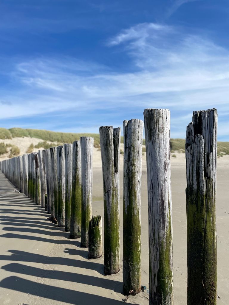 15x Unternehmungen mit Kindern auf Ameland - von Strand bis Schatzsuche - VVV Ameland