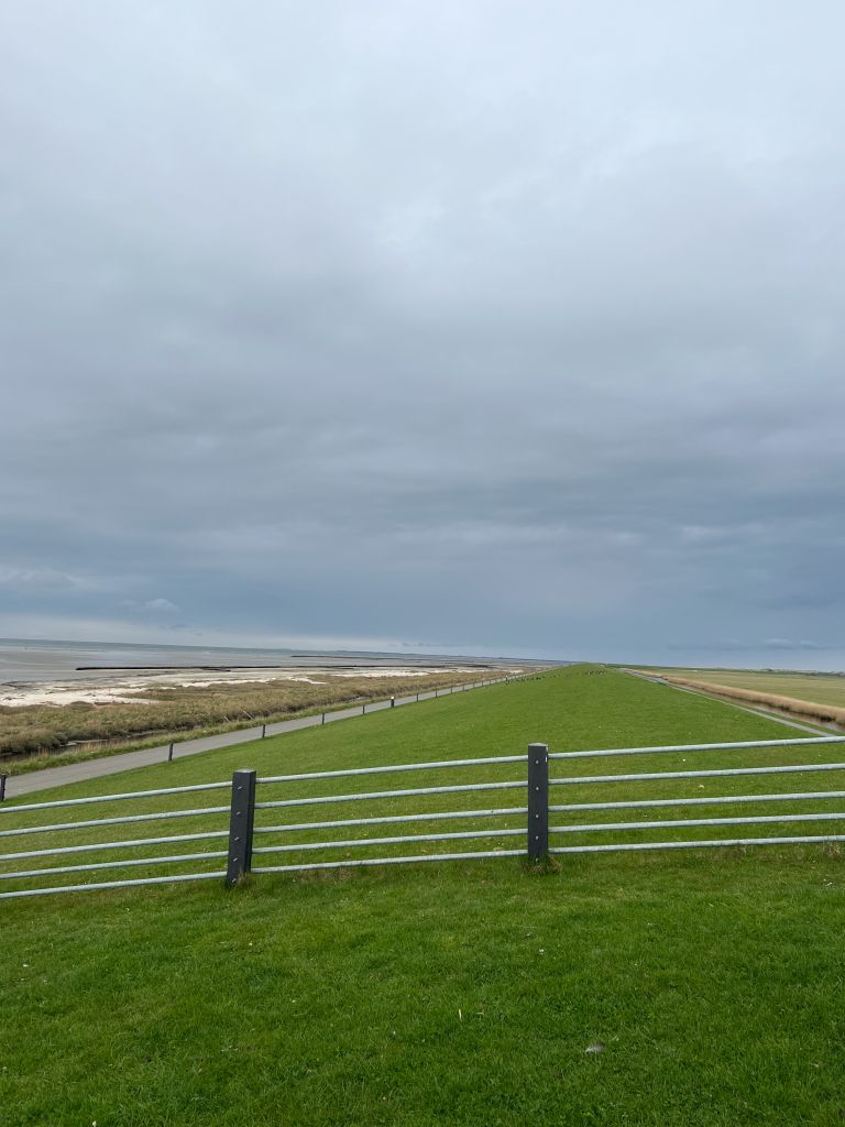 Buurder Steiger - VVV Ameland