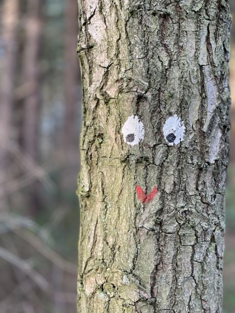 Krûmeltjesspoor - Wandern auf Ameland - VVV Ameland