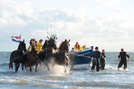 Vorführung des Pferderettungsbootes - VVV Ameland