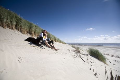 Strand und Dünen - VVV Ameland