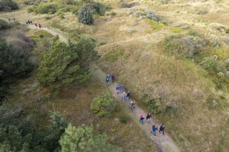 Zwischen Schlick und Sand - VVV Ameland