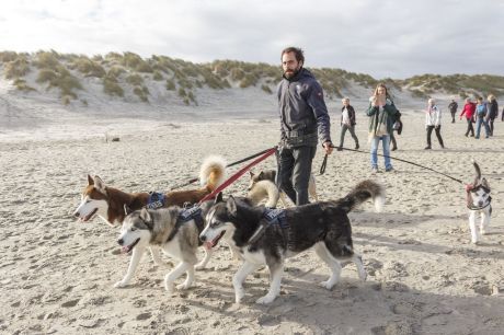 Zwischen Schlick und Sand - VVV Ameland