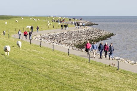 Zwischen Schlick und Sand - VVV Ameland