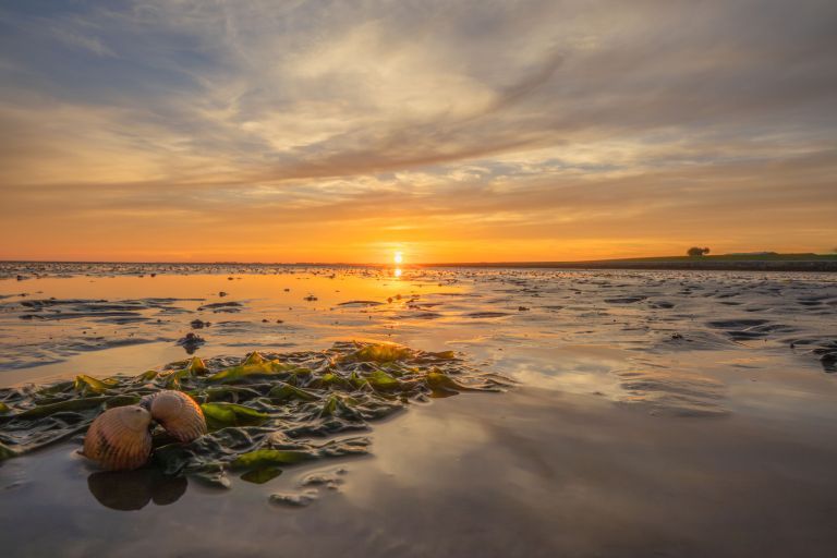 Ontdek de mooiste zonsondergangen op Ameland - VVV Ameland