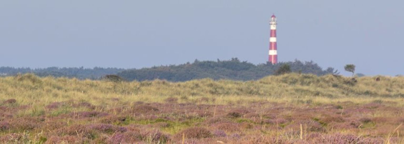 Häufig gestelte Fragen über öffentliche Dienste auf Ameland - VVV Ameland.