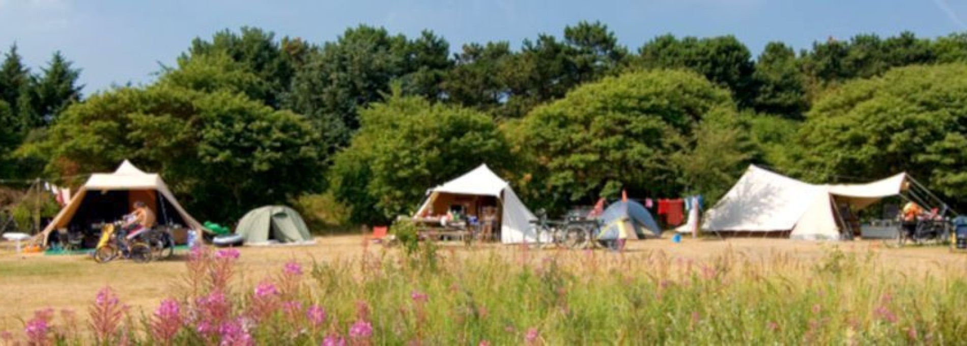 Häufig gestellte Fragen über Unterkünfte auf Ameland - VVV Ameland