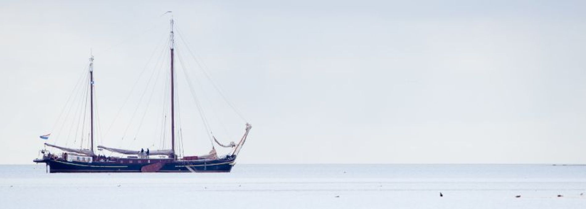 Häufig gestelte Fragen über Fährverkehr auf Ameland - VVV Ameland.