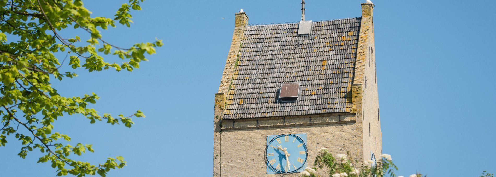 Ferienwohnung Nes - VVV Ameland
