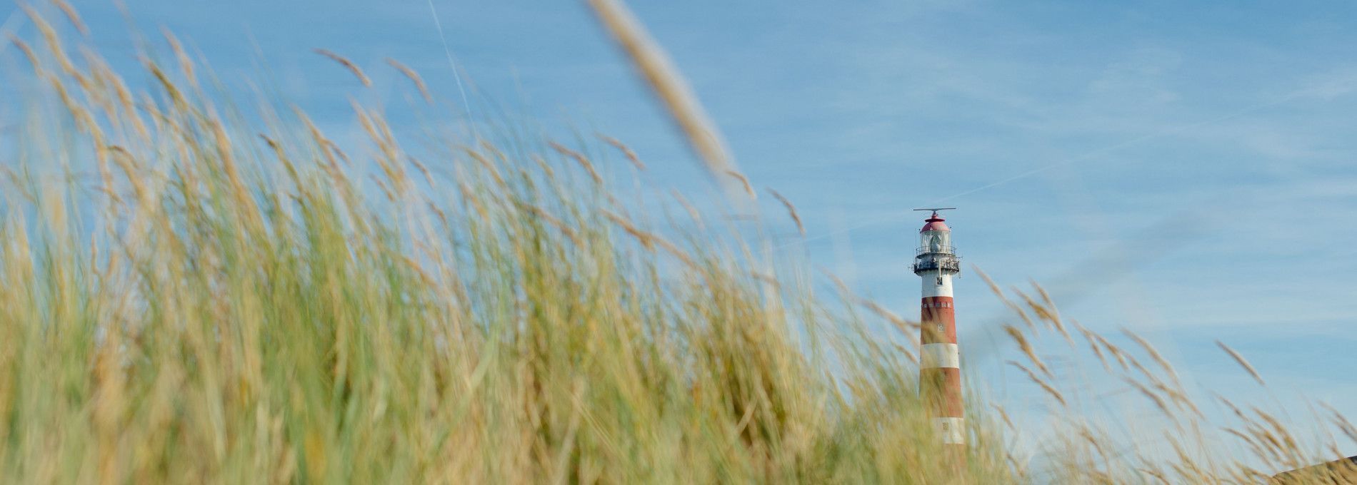 Tagesausflug auf Ameland - VVV Ameland