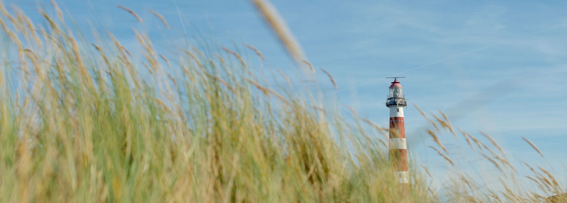 Tagesarrangement Ameland - VVV Ameland