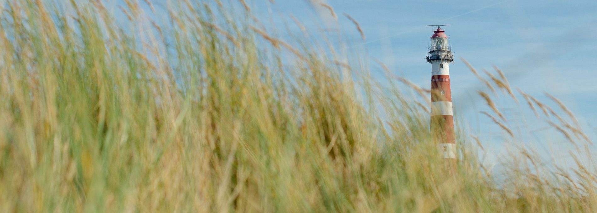 Tagesarrangement Ameland - VVV Ameland