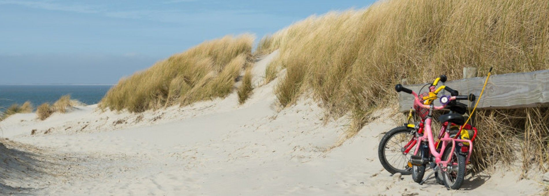 Radfahren auf Ameland