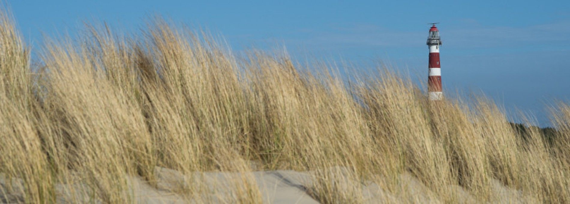 Wanderarrangement Ameland - VVV Ameland