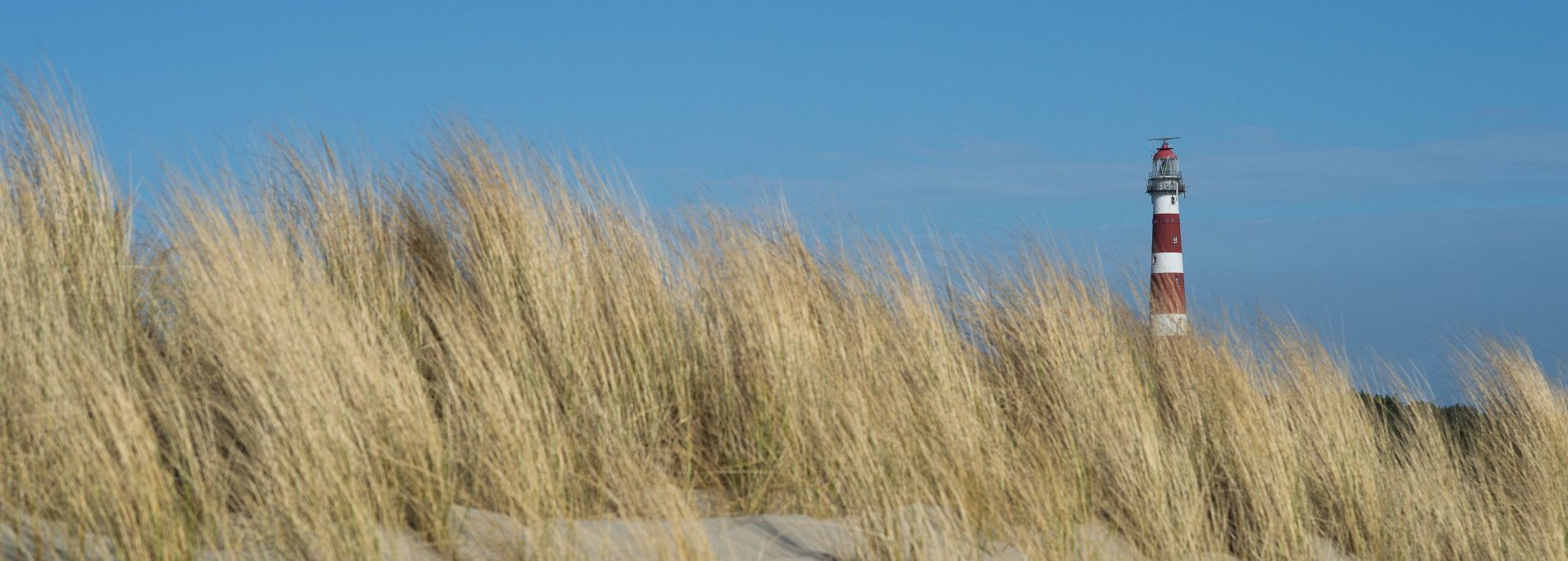 Wanderarrangement Ameland - VVV Ameland