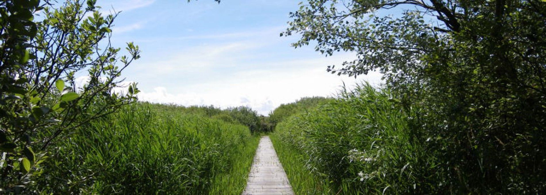 Wanderrouten und Karten - VVV Ameland