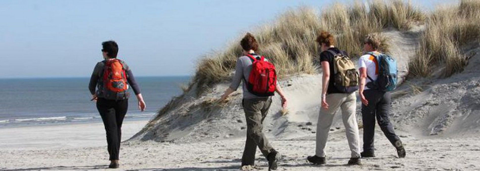 Wanderveranstaltungen auf Ameland - VVV Ameland