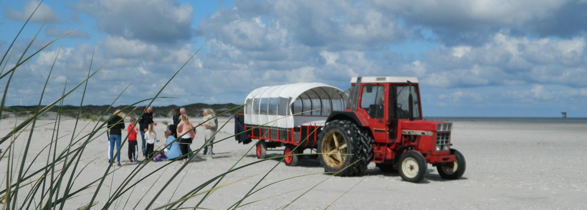 Huifkartochten Brouwer - VVV Ameland