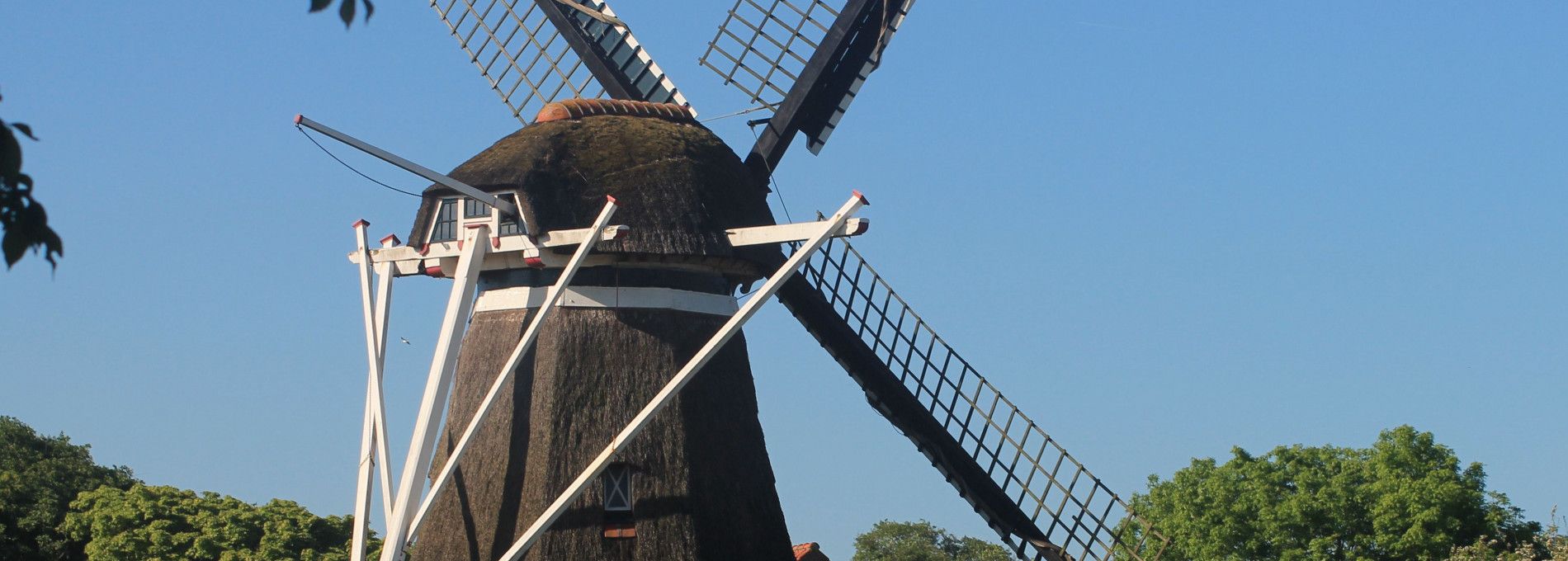 Getreidemühle De Phenix - VVV Ameland