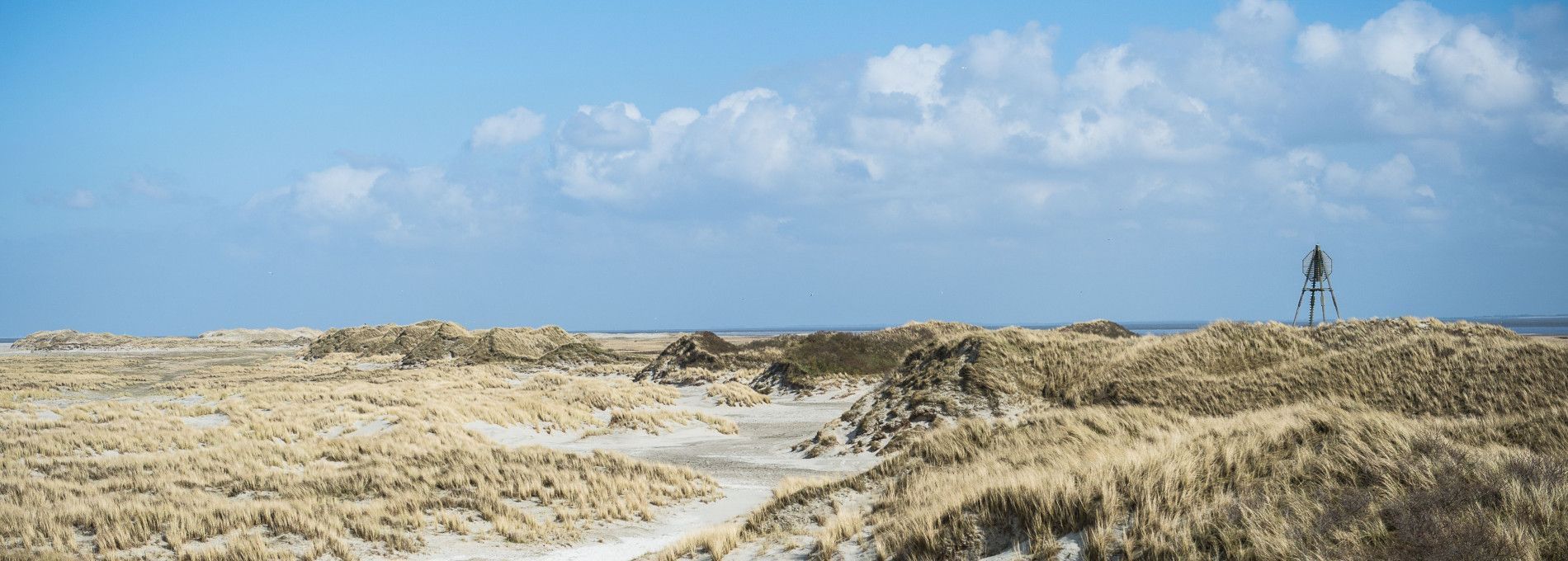 Ausflüge - VVV Ameland