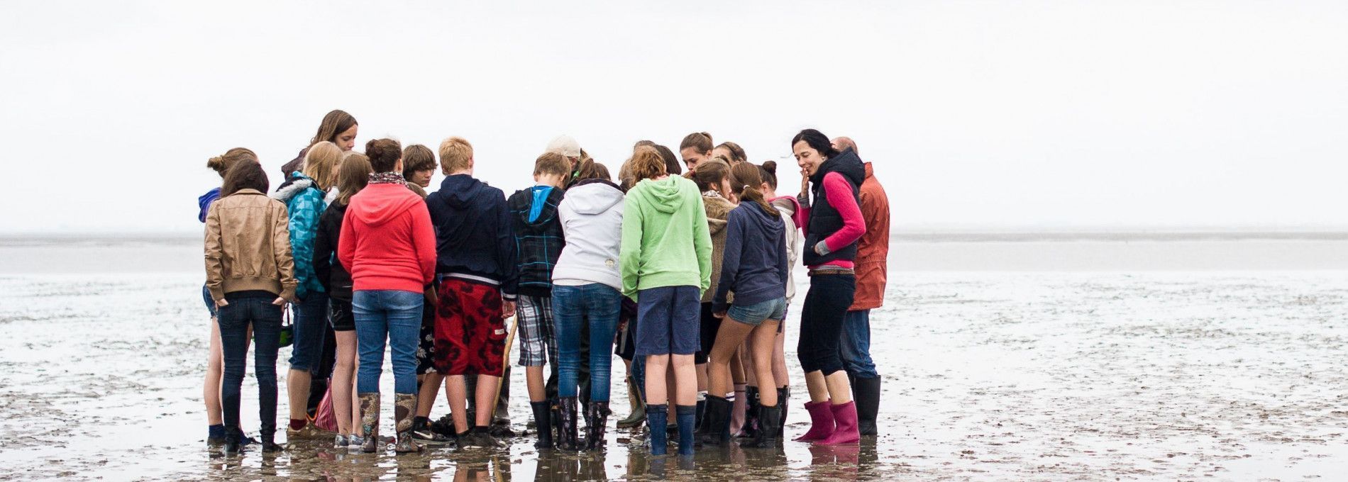 Wattexkursion - VVV Ameland