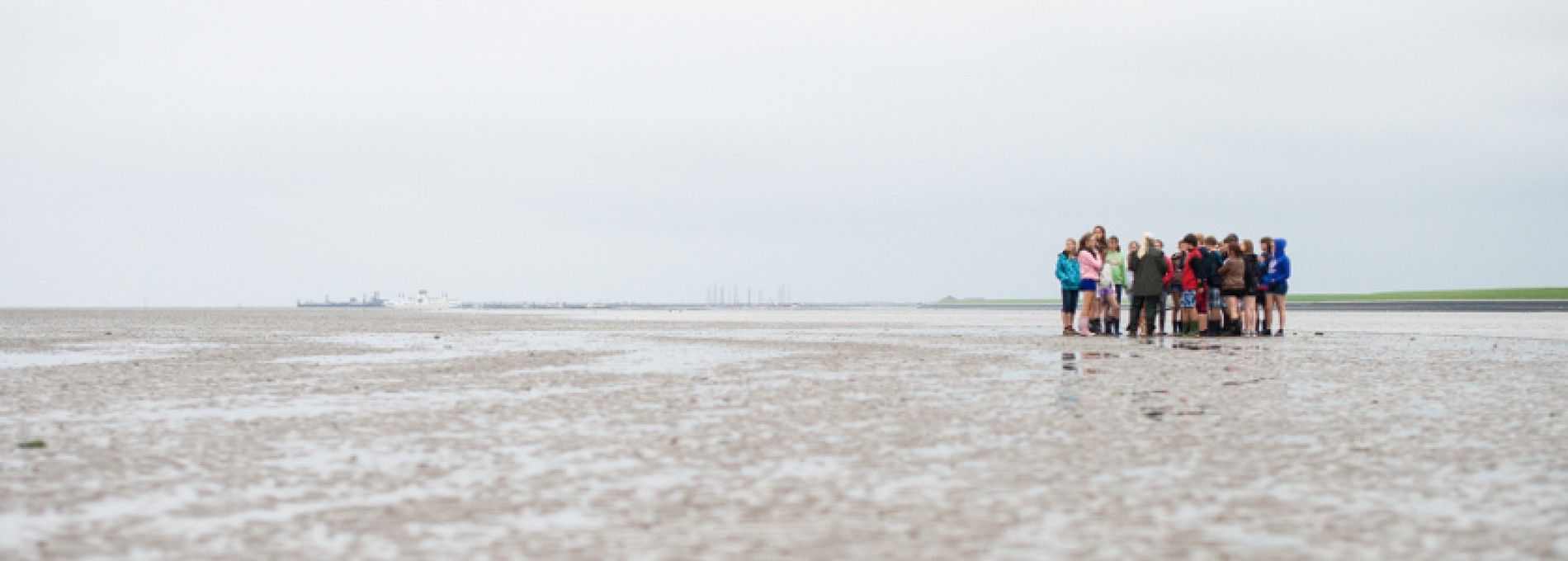 Wattexkursion Ameland