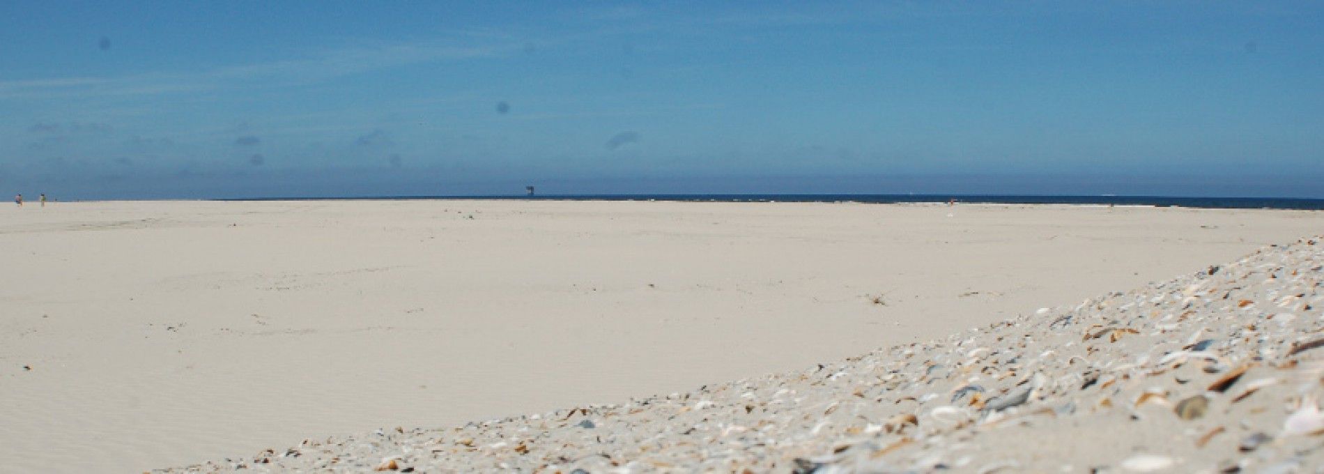 Strand- und Muschelexkursion Ameland