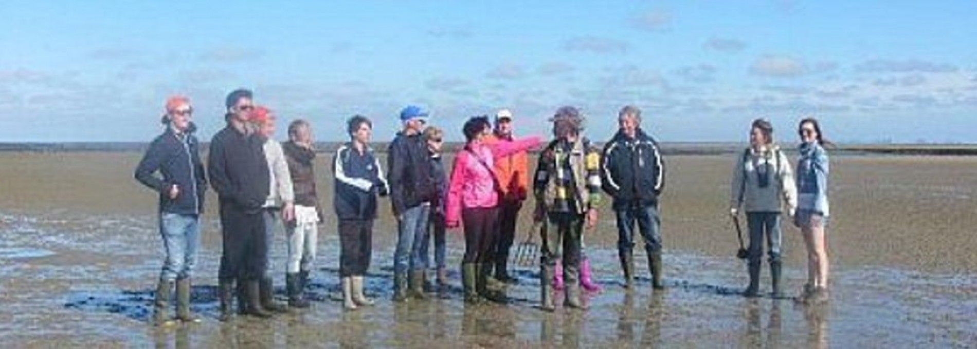 Wijnberg Wattexkursionen Ameland