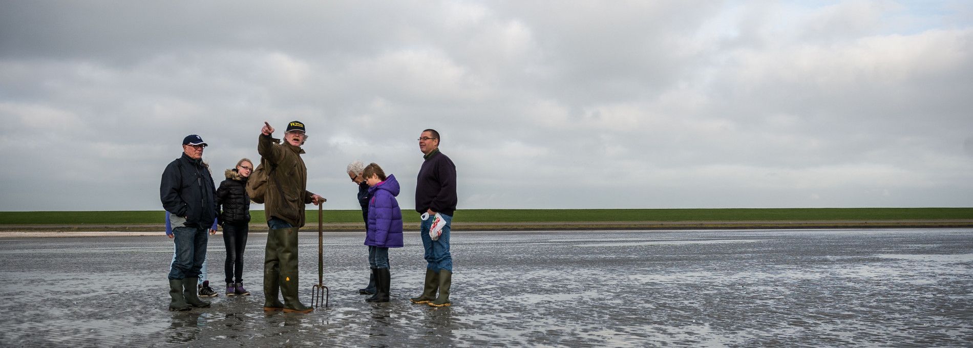 Wijnberg Wattexkursionen - VVV Ameland