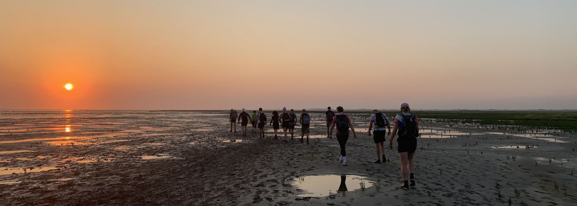 Wattenmeerstreifzug - VVV Ameland