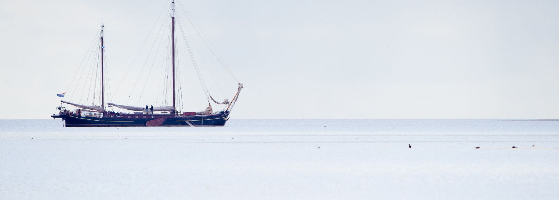 Inselhopping - VVV Ameland