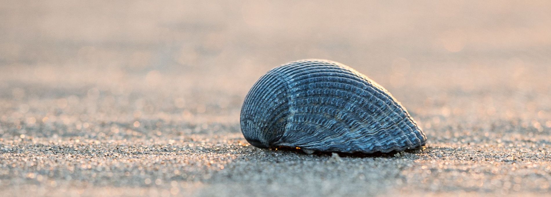 Massage- und Akupunkturpraxis Verbiest - VVV Ameland