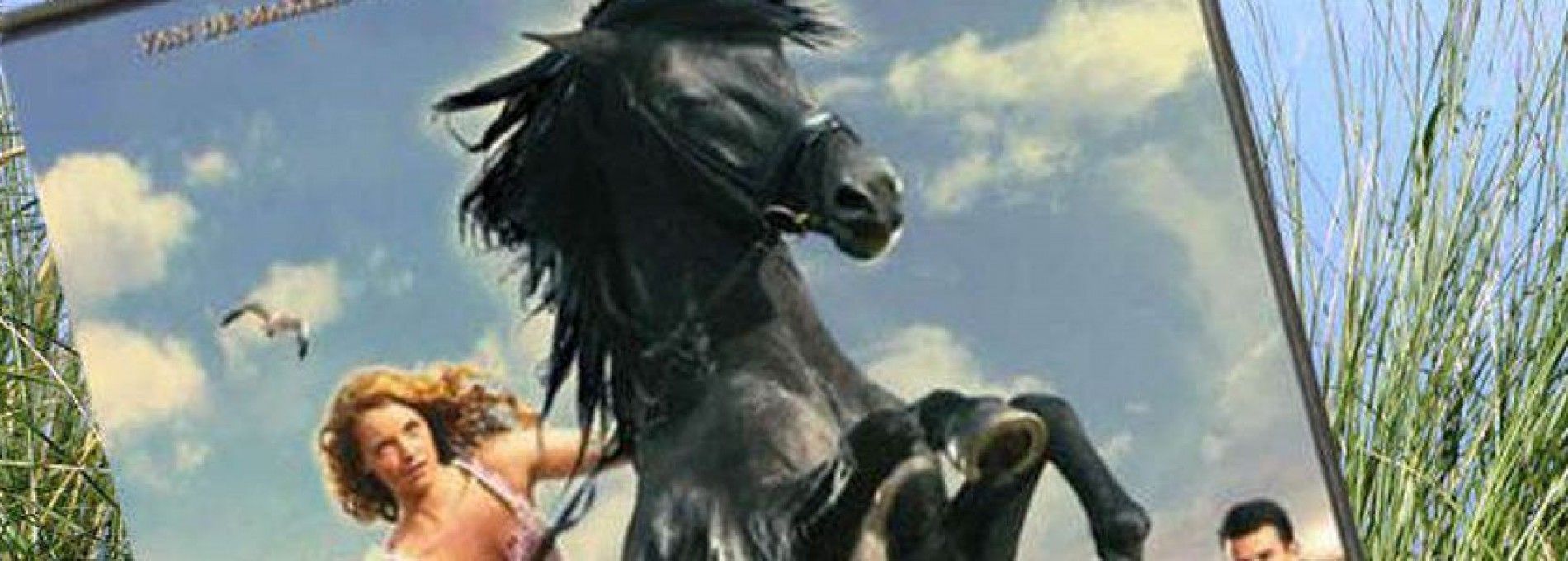 Mein Freund Shadow, der Film auf Ameland