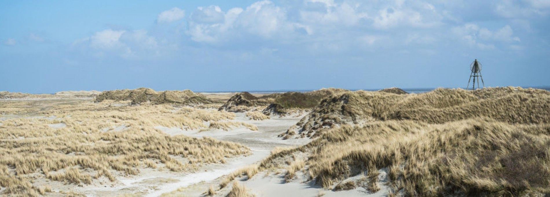 Haftungsausschluss VVV Ameland