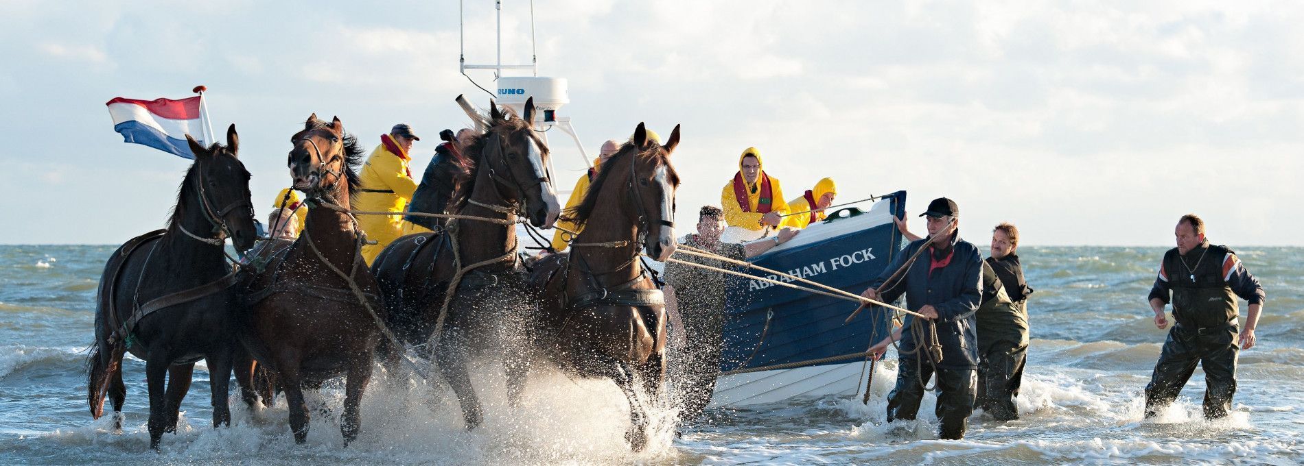 Vorführung des Pferderettungsbootes - VVV Ameland