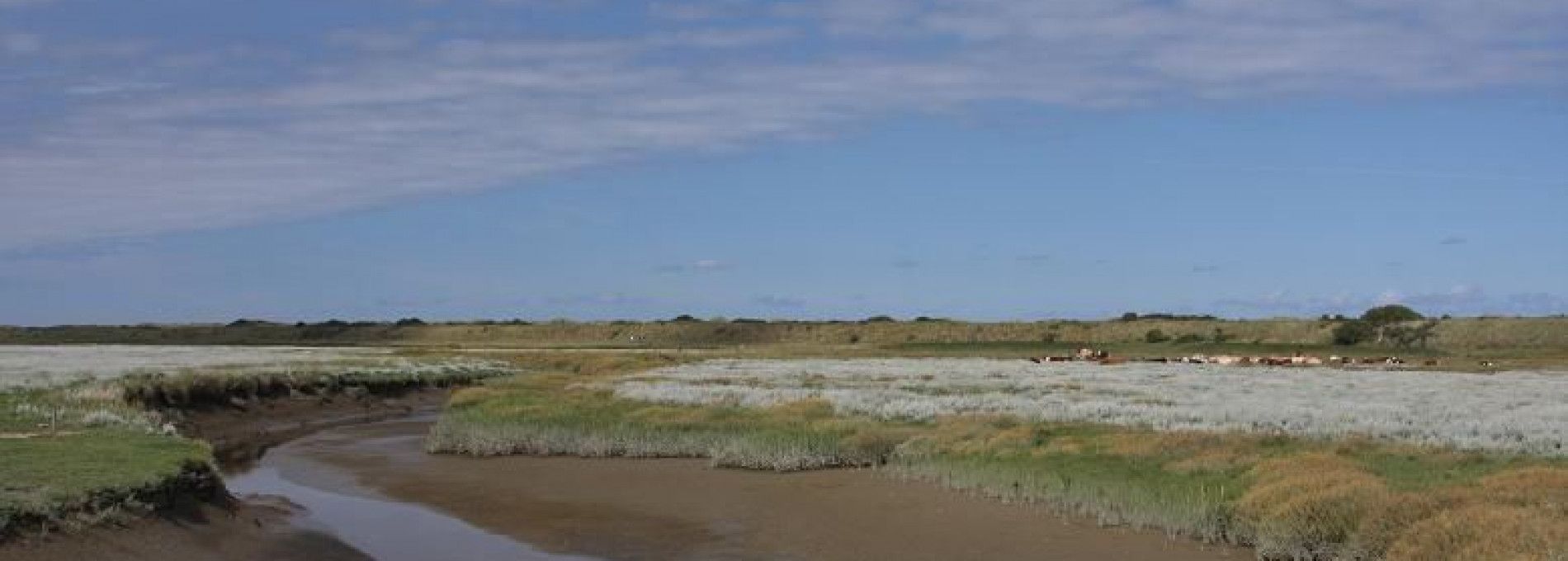 Zwischen Schlick und Sand - VVV Ameland